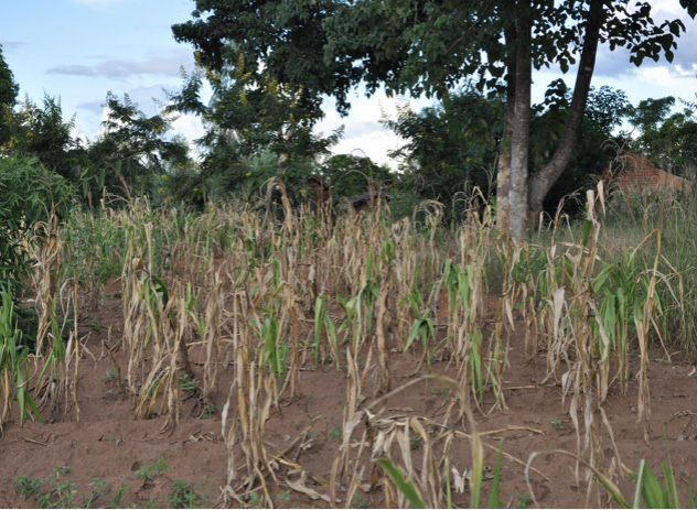 Assessing the contribution of soil properties on dry spell ...