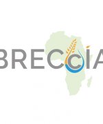 Breccia_logo_icon