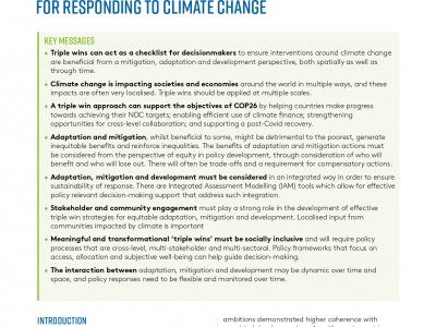 Triple-Wins-in-Adaptation-Mitigation-and-Development_page-0001